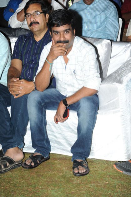 Pyaar-Mein-Padipoyane-Audio-Launch